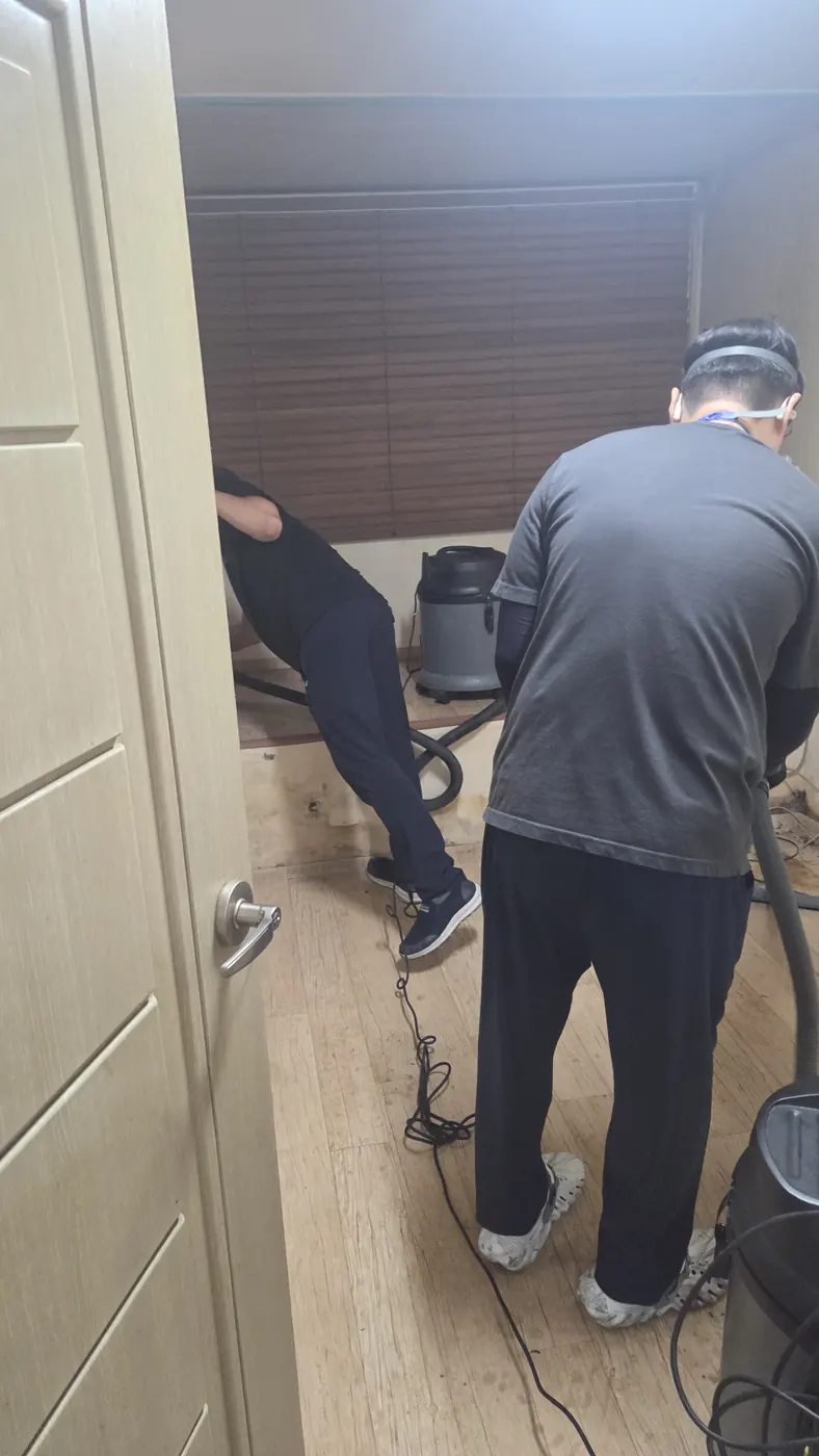 오염 제거 — 문경시 침수청소 현장