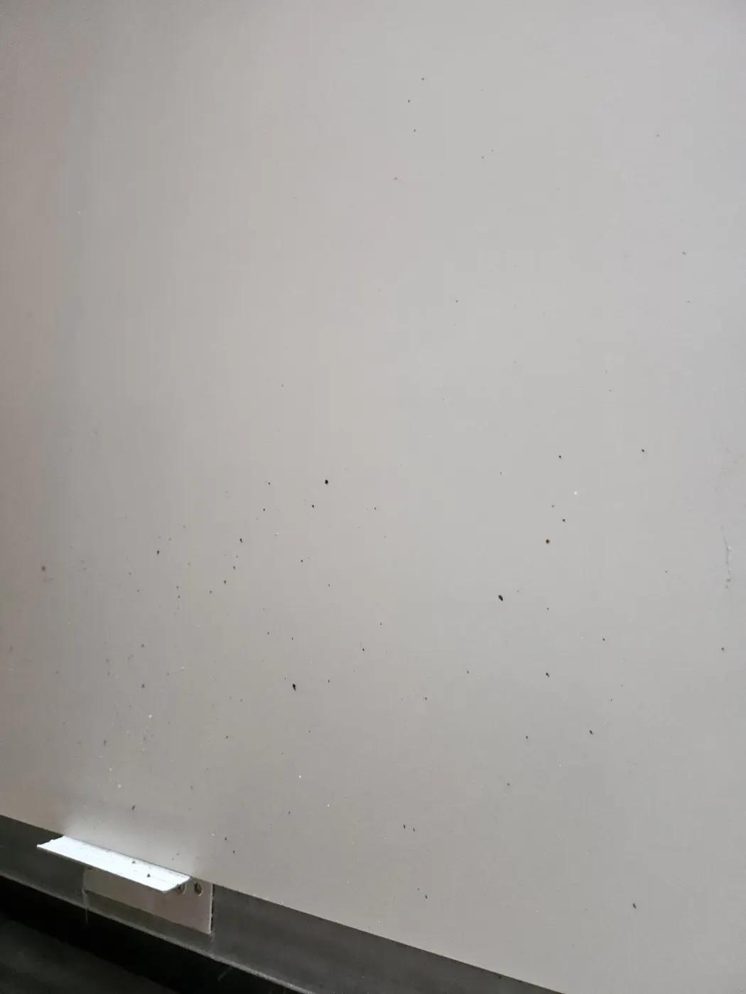 도산면 병원청소 시공 현장 — 시공 완료